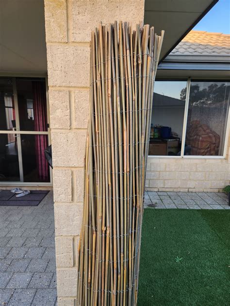 bamboo stakes bunnings|Bamboo Screening .